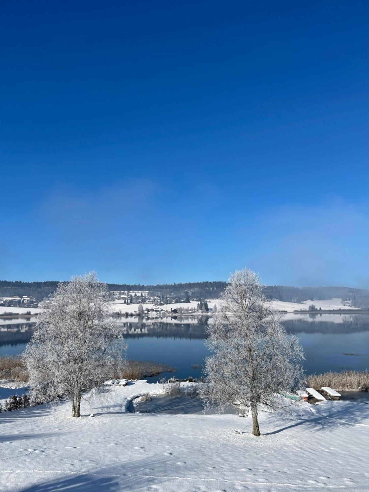 Chalet-Michel Avec Spa Montperreux Eksteriør bilde